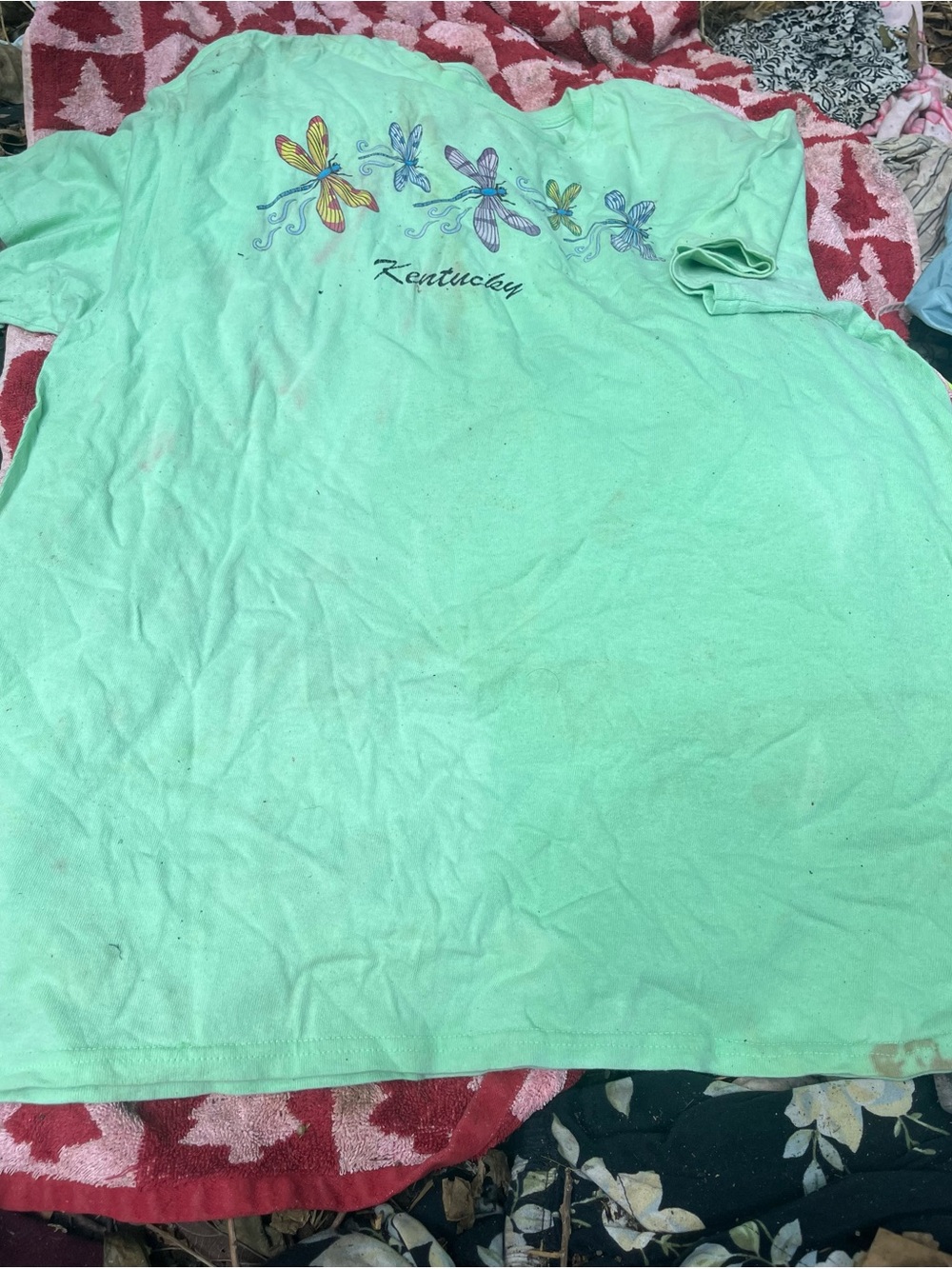 Mint Green Dragonfly Short Sleeve Tee